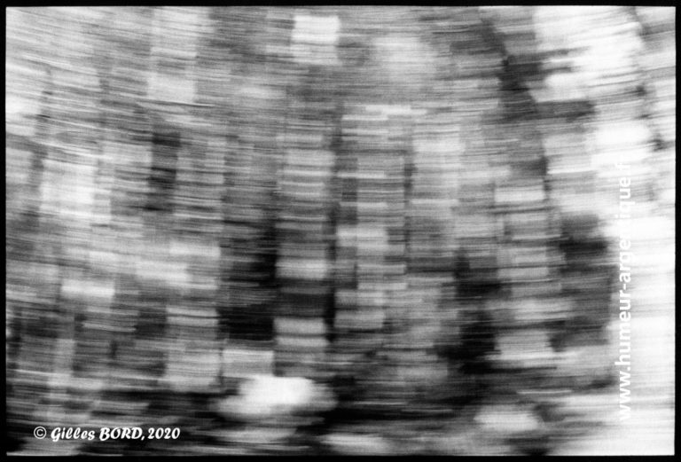 Dissolution N°8